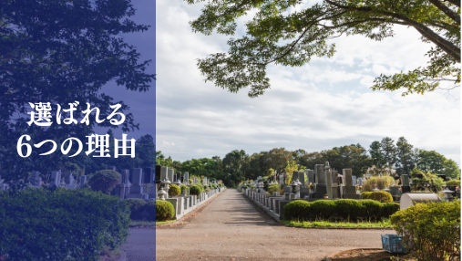 選ばれる6つの理由