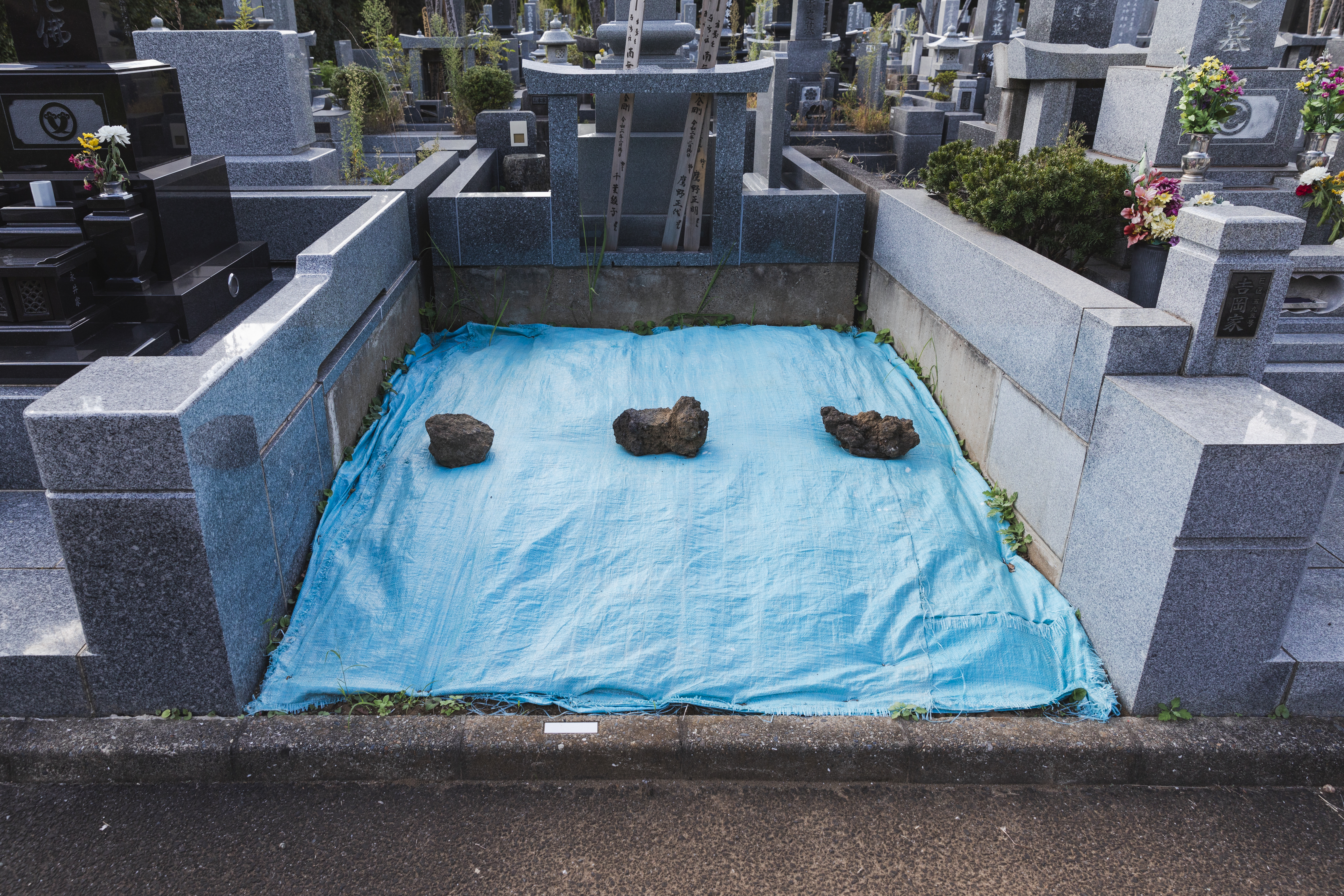 千葉市営平和公園
