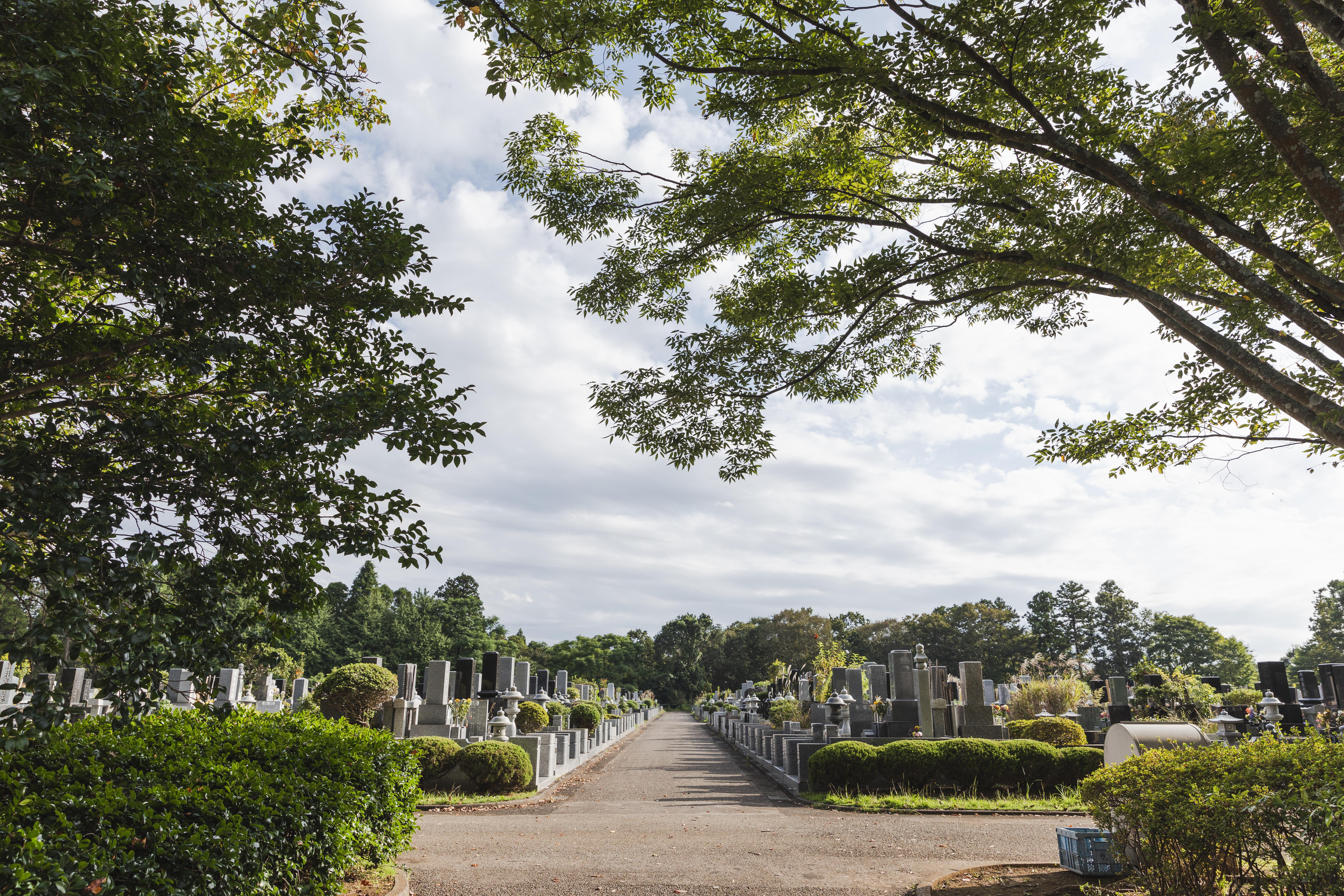 千葉市営平和公園